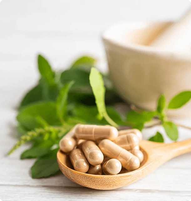 Herbal Capsules with Leaves